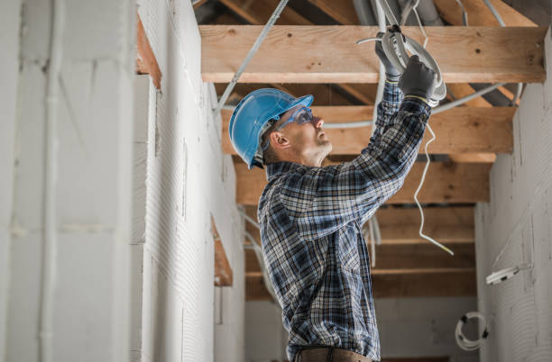 Best Electric Panel Repair  in Buffalo Center, IA