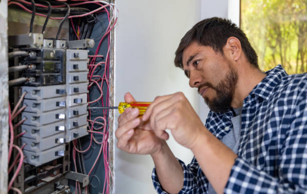 Best Home Electrical Repair  in Buffalo Center, IA